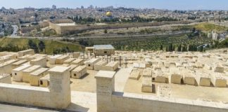 Цадика повезут в Израиль?