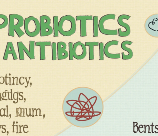 Что такое пробиотики (лактобактерии) и зачем они нужны?